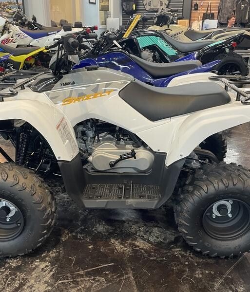 2024 Yamaha Grizzly 90